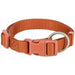 Dog collar Trixie Premium Orange 25-40 cm - Домашни Животни<<<Дом Градина<<<BigBuy&&&Пътуване и разходки<<<Домашни