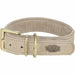 Dog collar Trixie Pure Light grey M 36-43 cm - Домашни Животни<<<Дом Градина<<<BigBuy&&&Пътуване и разходки<<<Домашни