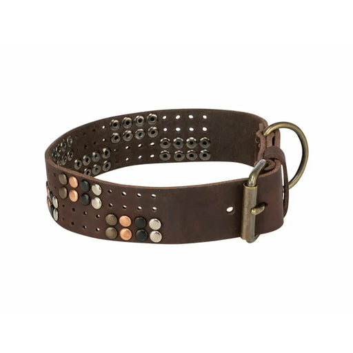Dog collar Trixie Rustic Dark brown S-M - Домашни Животни<<<Дом Градина<<<BigBuy&&&Пътуване и разходки<<<Домашни