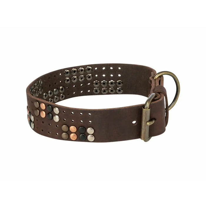 Dog collar Trixie Rustic Dark brown XL - Домашни Животни<<<Дом Градина<<<BigBuy&&&Пътуване и разходки<<<Домашни