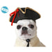 Dog Costume Black Hat - Домашни Животни<<<Дом Градина<<<BigBuy&&&Играчки<<<Домашни Животни<<<Дом Градина<<<BigBuy