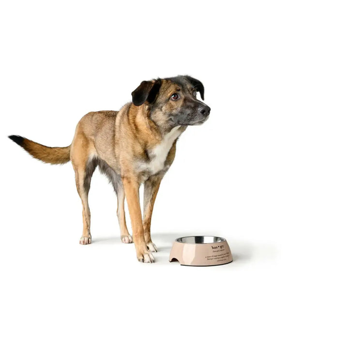 Dog Feeder Hunter LUTON 350 ml - Домашни Животни<<<Дом Градина<<<BigBuy&&&Купички за храна и вода<<<Домашни