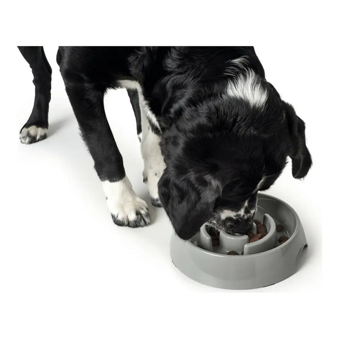 Dog Feeder Hunter Melamin 900 ml - Домашни Животни<<<Дом Градина<<<BigBuy&&&Купички за храна и вода<<<Домашни