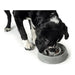 Dog Feeder Hunter Melamin 900 ml - Домашни Животни<<<Дом Градина<<<BigBuy&&&Купички за храна и вода<<<Домашни
