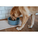 Dog Feeder Hunter OSBY Blue Ceramic 550 ml - Домашни Животни<<<Дом Градина<<<BigBuy&&&Купички за храна и вода<<<Домашни