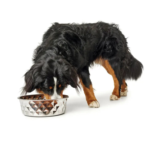 Dog Feeder Hunter Silicone Stainless steel 1,05 L - Домашни Животни<<<Дом Градина<<<BigBuy&&&Купички за храна и
