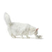 Dog Feeder Hunter Silicone Stainless steel 1,75 L - Домашни Животни<<<Дом Градина<<<BigBuy&&&Купички за храна и