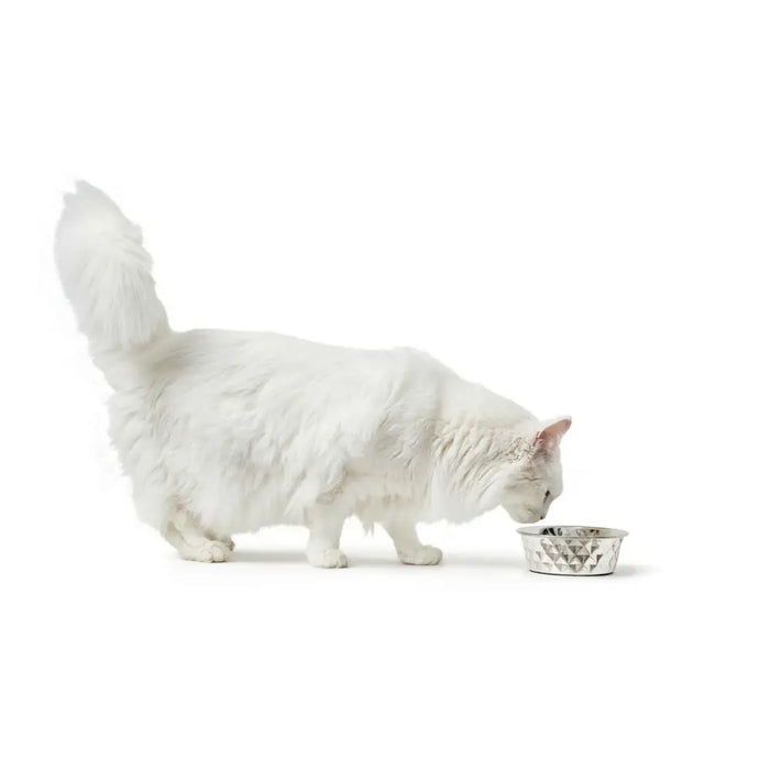 Dog Feeder Hunter Silicone Stainless steel 2,6 L - Домашни Животни<<<Дом Градина<<<BigBuy&&&Купички за храна и