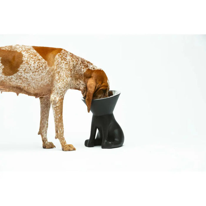 Dog Feeder United Pets Up Elisabeth Black Stainless steel Polyethylene 1 L - Домашни Животни<<<Дом