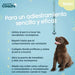Dog Harness Coachi - Домашни Животни<<<Дом Градина<<<BigBuy&&&Пътуване и разходки<<<Домашни Животни<<<Дом