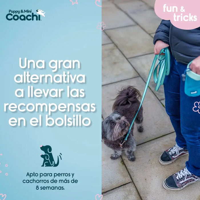 Dog Harness Coachi - Домашни Животни<<<Дом Градина<<<BigBuy&&&Пътуване и разходки<<<Домашни Животни<<<Дом