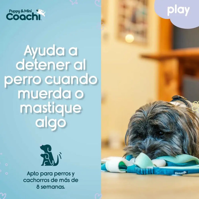 Dog Harness Coachi - Домашни Животни<<<Дом Градина<<<BigBuy&&&Пътуване и разходки<<<Домашни Животни<<<Дом