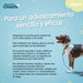 Dog Harness Coachi - Домашни Животни<<<Дом Градина<<<BigBuy&&&Пътуване и разходки<<<Домашни Животни<<<Дом