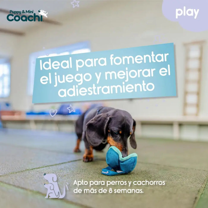 Dog Harness Coachi - Домашни Животни<<<Дом Градина<<<BigBuy&&&Пътуване и разходки<<<Домашни Животни<<<Дом
