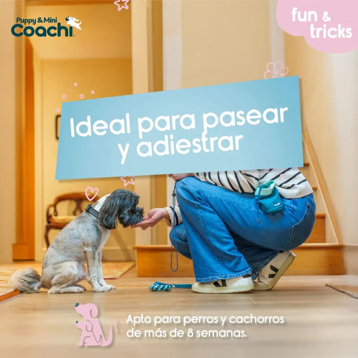 Dog Harness Coachi - Домашни Животни<<<Дом Градина<<<BigBuy&&&Пътуване и разходки<<<Домашни Животни<<<Дом
