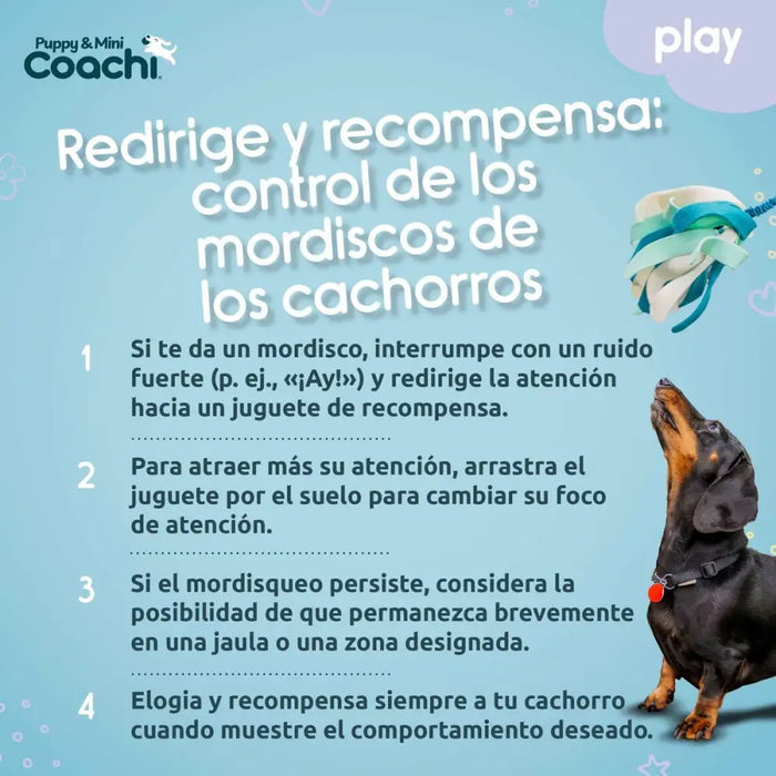 Dog Harness Coachi - Домашни Животни<<<Дом Градина<<<BigBuy&&&Пътуване и разходки<<<Домашни Животни<<<Дом