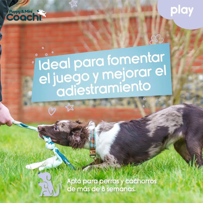 Dog Harness Coachi - Домашни Животни<<<Дом Градина<<<BigBuy&&&Пътуване и разходки<<<Домашни Животни<<<Дом