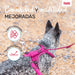 Dog Harness Company of Animals Burgundy M 35-55 cm - Домашни Животни<<<Дом Градина<<<BigBuy&&&Пътуване и