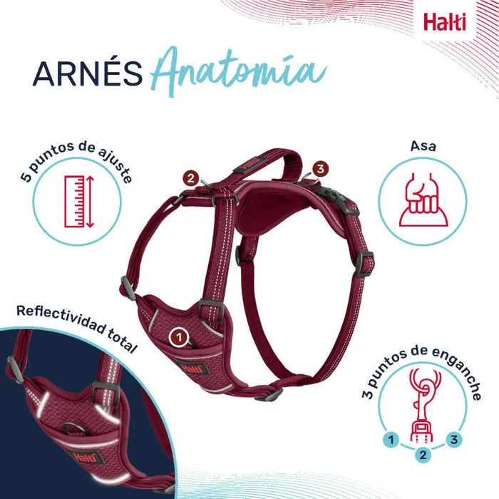 Dog Harness Company of Animals Burgundy S 28-42 cm - Домашни Животни<<<Дом Градина<<<BigBuy&&&Пътуване и