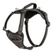 Dog Harness Company of Animals Grey XL 50-78 cm - Домашни Животни<<<Дом Градина<<<BigBuy&&&Пътуване и