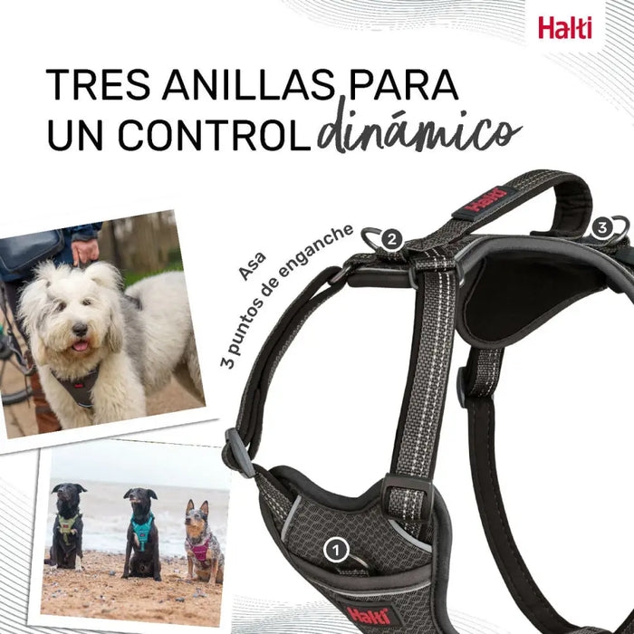 Dog Harness Company of Animals Grey XL 50-78 cm - Домашни Животни<<<Дом Градина<<<BigBuy&&&Пътуване и