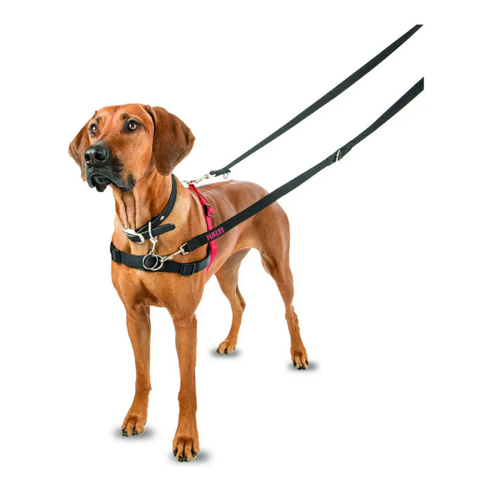 Dog Harness Company of Animals Halti Black/Red L (80-120 cm) - Домашни Животни<<<Дом Градина<<<BigBuy&&&Пътуване и