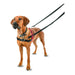 Dog Harness Company of Animals Halti Black/Red L (80-120 cm) - Домашни Животни<<<Дом Градина<<<BigBuy&&&Пътуване и