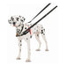 Dog Harness Company of Animals Halti Black/Red L (80-120 cm) - Домашни Животни<<<Дом Градина<<<BigBuy&&&Пътуване и