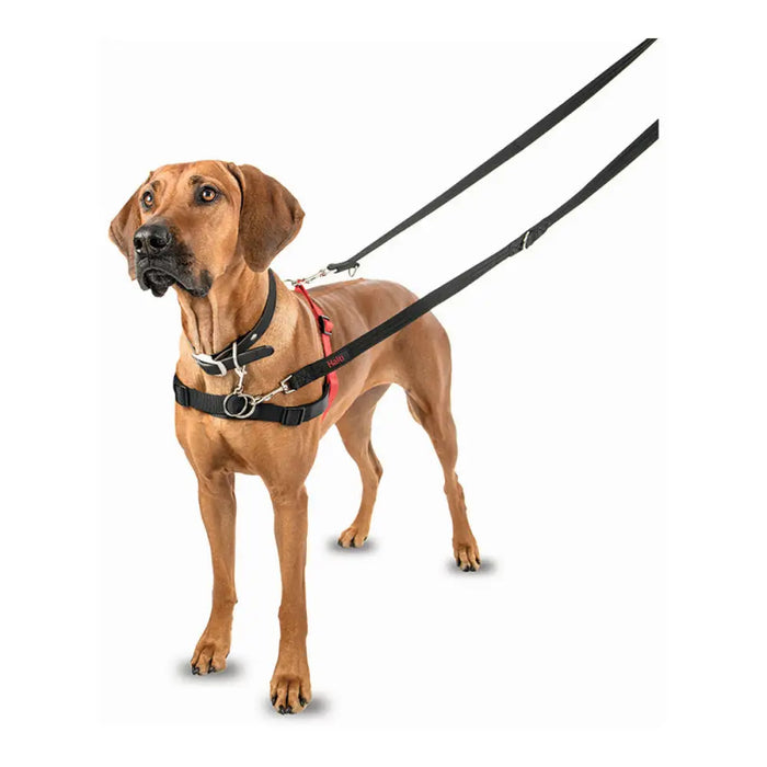 Dog Harness Company of Animals Halti Black/Red L (80-120 cm) - Домашни Животни<<<Дом Градина<<<BigBuy&&&Пътуване и