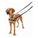 Dog Harness Company of Animals Halti Black/Red L (80-120 cm) - Домашни Животни<<<Дом Градина<<<BigBuy&&&Пътуване и