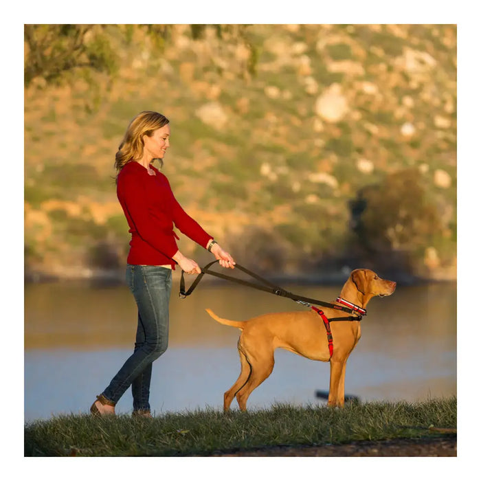Dog Harness Company of Animals Halti Black/Red L (80-120 cm) - Домашни Животни<<<Дом Градина<<<BigBuy&&&Пътуване и