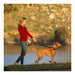 Dog Harness Company of Animals Halti Black/Red L (80-120 cm) - Домашни Животни<<<Дом Градина<<<BigBuy&&&Пътуване и