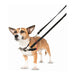 Dog Harness Company of Animals Halti Black/Red L (80-120 cm) - Домашни Животни<<<Дом Градина<<<BigBuy&&&Пътуване и