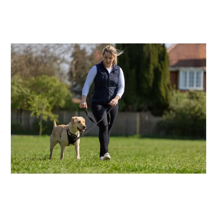 Dog Harness Company of Animals Halti Size S (26-36 cm) - Домашни Животни<<<Дом Градина<<<BigBuy&&&Пътуване и