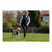 Dog Harness Company of Animals Halti Size S (26-36 cm) - Домашни Животни<<<Дом Градина<<<BigBuy&&&Пътуване и