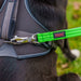 Dog Harness Company of Animals L - Домашни Животни<<<Дом Градина<<<BigBuy&&&Пътуване и разходки<<<Домашни Животни<<<Дом