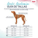 Dog Harness Company of Animals Turquoise L 42-65 cm - Домашни Животни<<<Дом Градина<<<BigBuy&&&Пътуване и