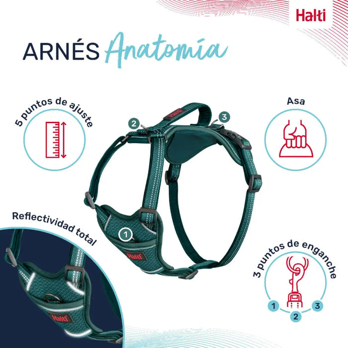Dog Harness Company of Animals Turquoise M 35-55 cm - Домашни Животни<<<Дом Градина<<<BigBuy&&&Пътуване и