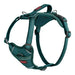 Dog Harness Company of Animals Turquoise S 28-42 cm - Домашни Животни<<<Дом Градина<<<BigBuy&&&Пътуване и