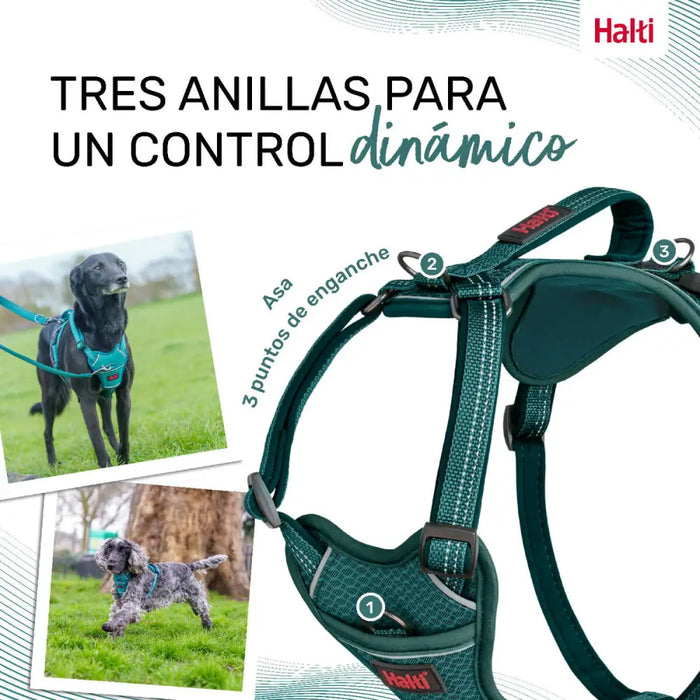 Dog Harness Company of Animals Turquoise S 28-42 cm - Домашни Животни<<<Дом Градина<<<BigBuy&&&Пътуване и