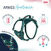 Dog Harness Company of Animals Turquoise S 28-42 cm - Домашни Животни<<<Дом Градина<<<BigBuy&&&Пътуване и