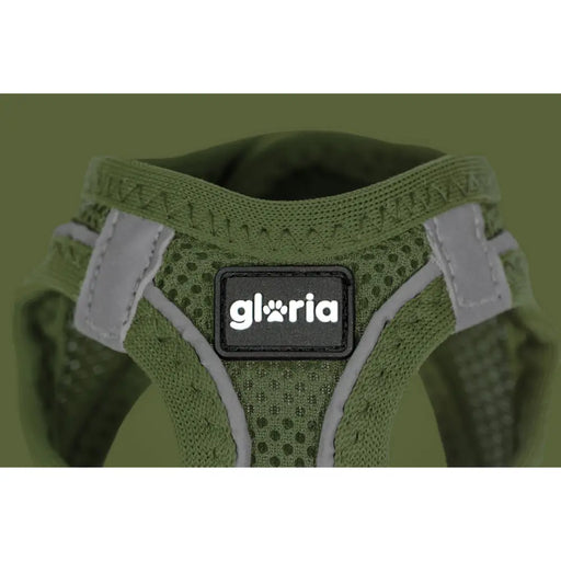 Dog Harness Gloria 28-28,6 cm Green XXS 24-26 cm - Домашни Животни<<<Дом Градина<<<BigBuy&&&Пътуване и