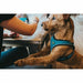 Dog Harness Hunter Black 37-42 cm Anthracite XS/S - Домашни Животни<<<Дом Градина<<<BigBuy&&&Пътуване и