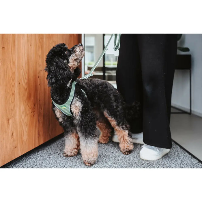 Dog Harness Hunter Comfort Green S 42-48 cm - Домашни Животни<<<Дом Градина<<<BigBuy&&&Пътуване и разходки<<<Домашни