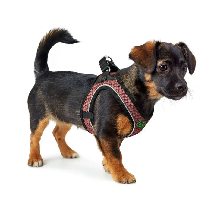 Dog Harness Hunter Comfort Pink S 42-48 cm - Домашни Животни<<<Дом Градина<<<BigBuy&&&Пътуване и разходки<<<Домашни