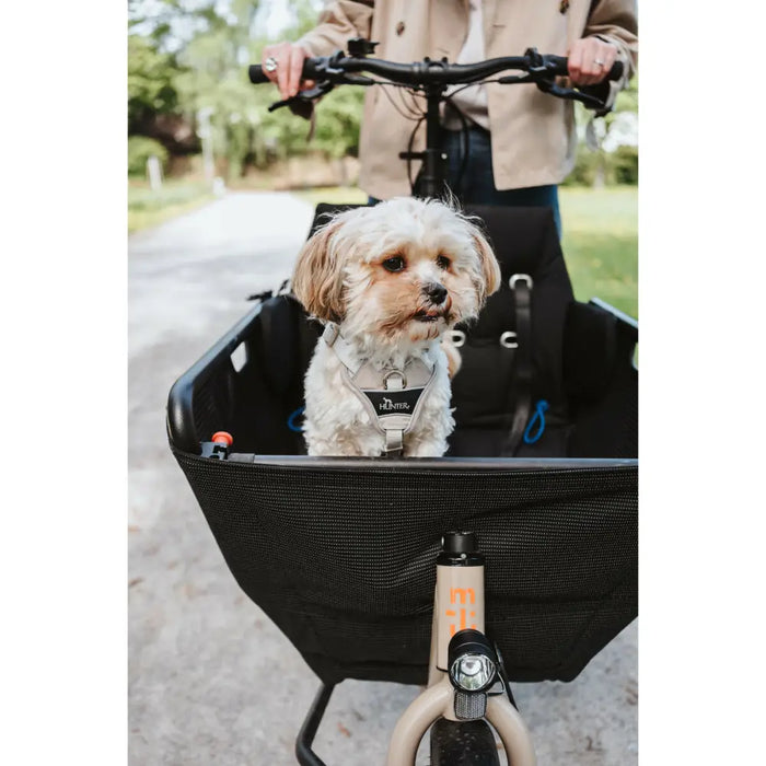 Dog Harness Hunter DIVO UP Beige L - Домашни Животни<<<Дом Градина<<<BigBuy&&&Пътуване и разходки<<<Домашни