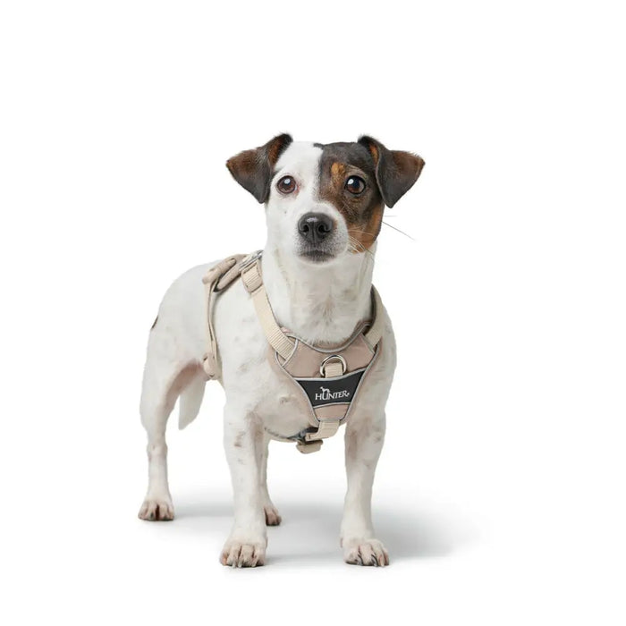 Dog Harness Hunter DIVO UP Beige L/XL - Домашни Животни<<<Дом Градина<<<BigBuy&&&Пътуване и разходки<<<Домашни