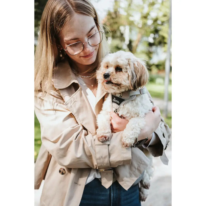 Dog Harness Hunter DIVO UP Beige M - Домашни Животни<<<Дом Градина<<<BigBuy&&&Пътуване и разходки<<<Домашни