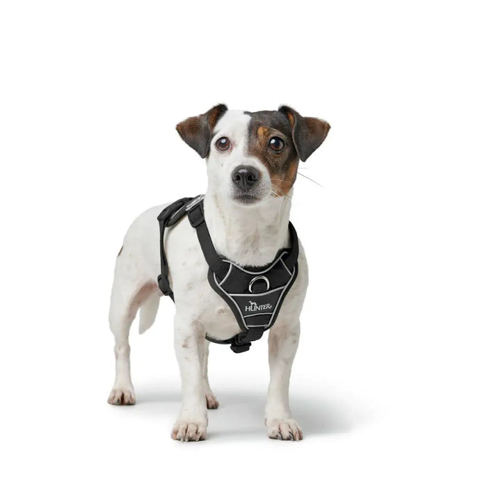 Dog Harness Hunter DIVO UP Black L/XL - Домашни Животни<<<Дом Градина<<<BigBuy&&&Пътуване и разходки<<<Домашни