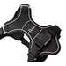 Dog Harness Hunter DIVO UP Black S/M - Домашни Животни<<<Дом Градина<<<BigBuy&&&Пътуване и разходки<<<Домашни